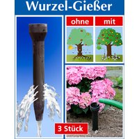 Wurzel-Gießer 3er-Set