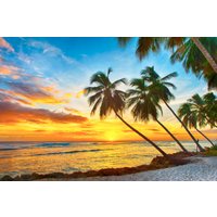 Papermoon Fototapete »Barbados Palm Beach«