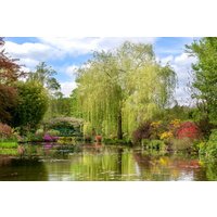 Papermoon Fototapete »Monets Garten«