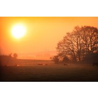 Papermoon Fototapete »Sonniger nebliger Sonnenaufgang«