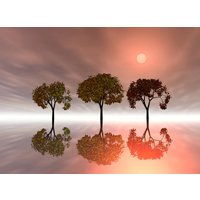 Papermoon Fototapete »Bäume im Wasser«