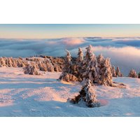 Papermoon Fototapete »Schneelandschaft«
