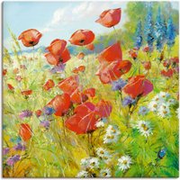 Artland Wandbild »Sommerwiese mit Mohnblumen«