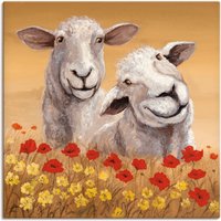 Artland Wandbild »Schafe«