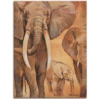 Artland Leinwandbild »Elefanten I«
