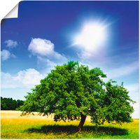 Artland Wandbild »Baum des Lebens«